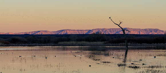 Sunset Bosque Del Apache National Wildlife Refuge