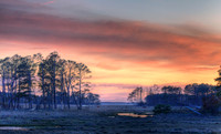Sunset and Ponies (HDR Photo)