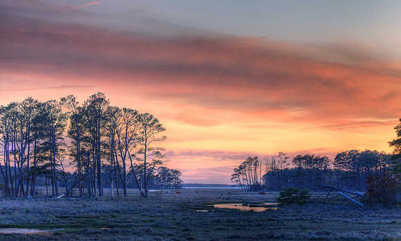 Sunset and Ponies (HDR Photo)