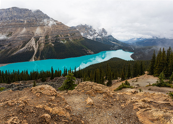 Peyto Lake