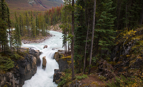Sunwapta Falls